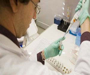   مصر اليوم - الصين: وفاة 4 حالات جديدة بفيروس H7N9 المسبب لـأنفلونزا الطيور