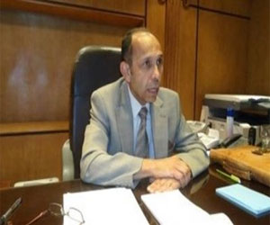   مصر اليوم - تطوير مدينة ماضي الأثرية في الفيوم بالتعاون مع إيطاليا