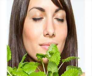 مصر اليوم - النعناع للتخلُّص من مشاكل البشرة الدهنيَّة