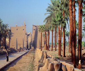   مصر اليوم - مشروع لإضاءة مناطق أثرية وسياحية في الأقصر باستخدام الطاقة الشمسية