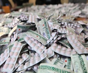   مصر اليوم -  نحن نحمي الوطن  برنامج للتوعية بأضرار المخدرات لطالبات جامعة الإمام