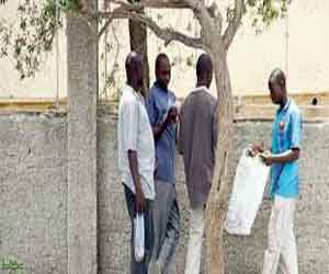   مصر اليوم - السعودية ترفع عدد المنح التعليمية للطلاب النيجيريين