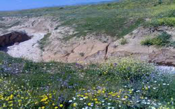   مصر اليوم - حمامات تبسة الجزائريّة تتصدر المرتبة الأولى عالميًا في المياه المعدنية