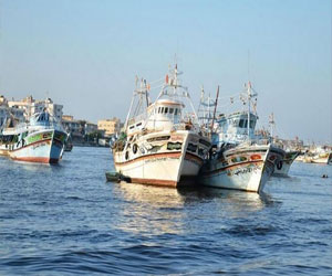   مصر اليوم - السلطات السعوديّة تفرج عن مراكب صيد مصريّة محتجزة