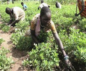   مصر اليوم - برنامج الغذاء العالميّ يُحذِّر من الجوع في جنوب السودان