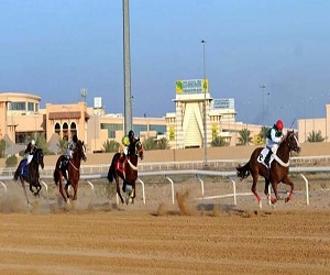   مصر اليوم - الحفل الختامي لسباق الفروسية في المدينة المنورة