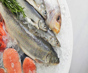   مصر اليوم - أسماك السالمون تساعد الأطفال علي النوم