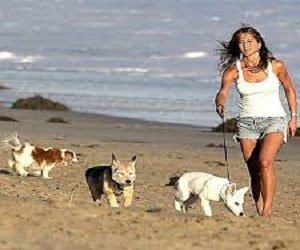   مصر اليوم - كلاب النجمة جنيفر أنيستون تشرب مياه مضادة للشيخوخة