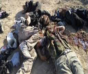   مصر اليوم - الشبكّة تؤكّد أنَّ داعش قتلت 191 سوريًا