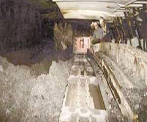   مصر اليوم - إصابة عمال المناجم الصينيين بداء الرئة الصوانى