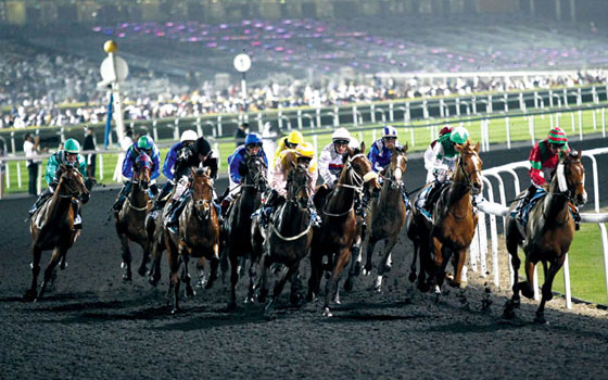   مصر اليوم - إقامة سباق سوبر ساترداي للخيول كتجربة نهائيّة مُصغرة لكأس دُبي العالمي 2014