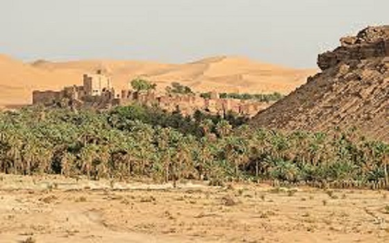   مصر اليوم - تاغيت الجزائريَّة ذات القصور العتيقة والطَّبيعة الفريدة من أجمل واحات الوطن العربي