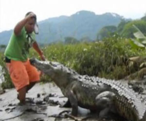   مصر اليوم - مغامر يتحدى تمساحًا ويستفزه في مبارزة غريبة