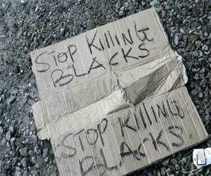   مصر اليوم - هتافات الجماهير العنصرية خطرًا يواجه كرة القدم الإيطالية