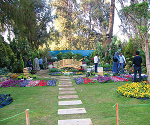   مصر اليوم - مؤسّسة شباب بتحب مصر ترمّم حديقة الأورمان