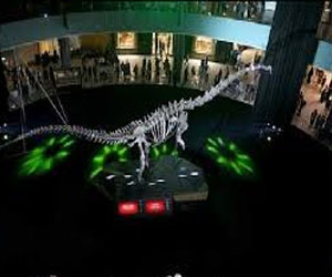   مصر اليوم - دبي مول يعرض هيكلا لديناصور عمره 155 مليون عامًا