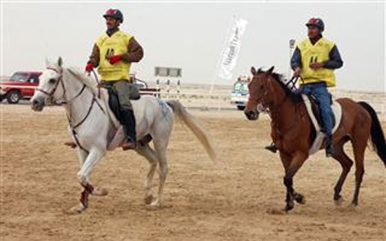   مصر اليوم - منافسات سباق كأس سلطان بن زايد للقدرة لمسافة 240 كم تنطلق اليوم