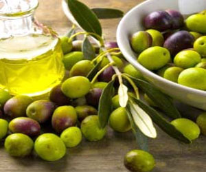   مصر اليوم - تراجع إنتاج زيت الزيتون في تونس