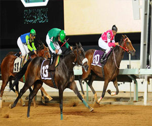   مصر اليوم - نادي الفروسية بمنطقة القصيم يقيم حفل سباقه الـ 21