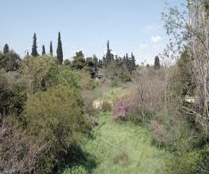   مصر اليوم - مجلس الدولة اليوناني يأمر بوقف مشروع تحويل مجر نهر اليسوس