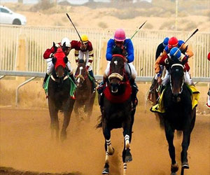   مصر اليوم - نادي الفروسية في القصيم يقيم حفل سباقه الـ 21