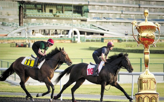   مصر اليوم - افتتاح كأس دبي تشنغدو العالميّ في وينغيانغ 6 ابريل
