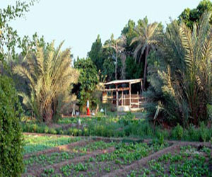   مصر اليوم - مليونيرة بريطانية تحرم قريتها من ميراثها