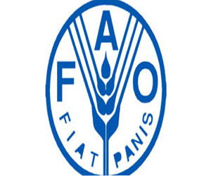   مصر اليوم - الفاو تحيى يوم 21 مارس الاحتفال باليوم الدولى للغابات