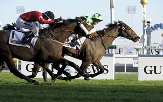   مصر اليوم - بطولة كأس حاكم الشارقة للخيول تخّتتم الموسم في نادي الشارقة للفروسية