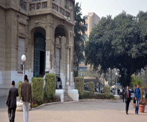   مصر اليوم - العسل الأسود والشعير والشوفان يمنع إصابة هشاشة العظام