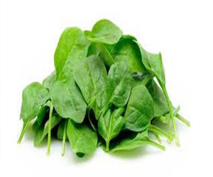 مصر اليوم - تناول السبانخ والبيض يعمل علي تحسين ردود أفعال الإنسان