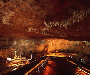   مصر اليوم - إعادة فتح كهف التاميرا الإسباني بعد 12 عامًا من إغلاقه