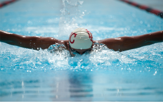   مصر اليوم - الجامعة الأميركيّة في القاهرة تُطلق أول أكاديميّة سباحة للأطفال والكبار