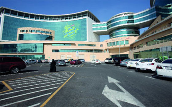   مصر اليوم - هيئة الطرق والمواصلات تطلق خدمة ترقيم وترخيص المقطورات الصغيرة