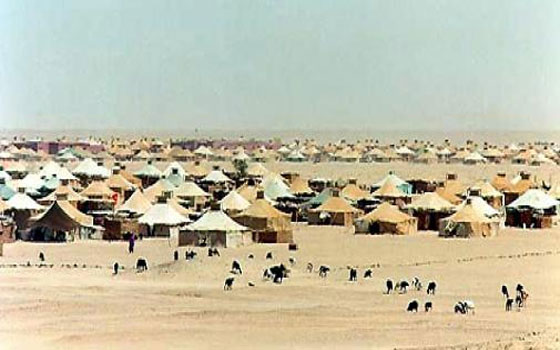   مصر اليوم - المغرب يرفض تصنيف الجزائر نفسها كملاحظ في قضيّة الصحراء المتنازع عليها