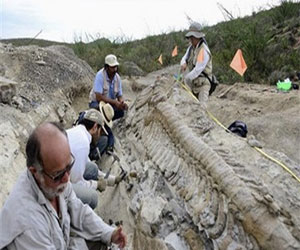   مصر اليوم - علماء آثار يكتشفون حالة إصابة بالسرطان ترجع إلى 3000 سنة