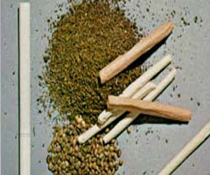   مصر اليوم - توقيف سيدة بحوزتها مواد مخدرة بقصد الاتجار بها