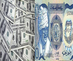  مصر اليوم - السعر التأشيري للدولار مقابل الجنيه السوداني