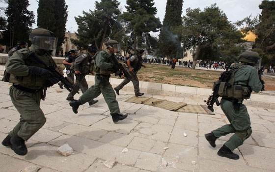   مصر اليوم - الاحتلال الإسرائيلي يعتقل عدّدًا من طلبة العلم في المسجد الأقصى