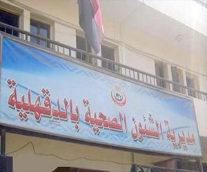   مصر اليوم - ندوة عن الأمومة الآمنة في الدقهلية وقوافل للتوعية تجوب المحافظة