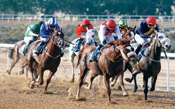   مصر اليوم - خيول رئيس الإمارات تخطف الأضواء في مضمار العين للفروسيّة