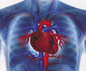   مصر اليوم - ضوضاء المطارات تسبب الإصابة بأمراض القلب