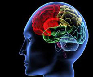   مصر اليوم - لقاح صيني ضد إلتهاب الدماغ الياباني