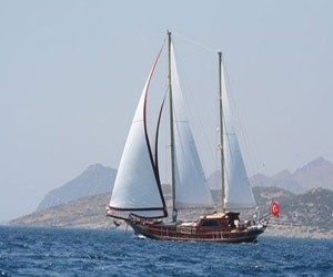   مصر اليوم - المراكب الشراعية وأهازيجالنهام تجذب زوار الساحل الشرقي في السعوديه