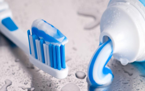   مصر اليوم - منظّمة نابو الألمانيّة تكشف عن تسرب 20 طنًا من النفايات البلاستيكيّة إلى بحر الشمال