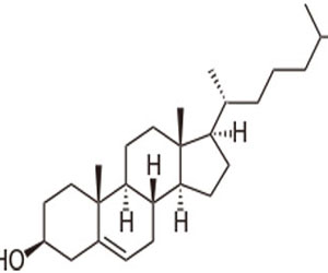   مصر اليوم - الكوليسترول يزيد من مخاطر سرطان الثدي