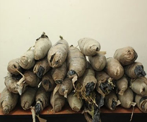   مصر اليوم - ضبطُ شخصٍ بحوزته 48 لفافة بانغو في الأقصر