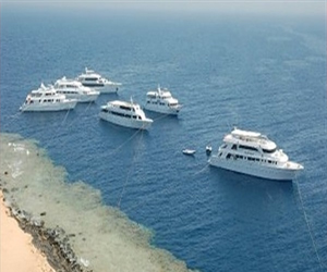 مصر اليوم - الغردقة تحتفل باليوم العالمي للمياه السبت