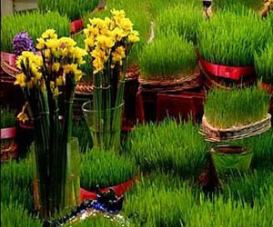 مصر اليوم - کلیه الإستشراق في وارسو تقیم إحتفالًا بعید النوروز