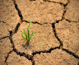   مصر اليوم - الفاو : التصحر يهدد الرقعة الزراعية والأمن الغذائي في مصر